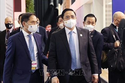Thủ tướng nêu bật 2 thông điệp của Việt Nam về giảm phát thải methane