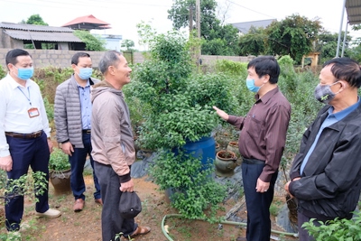 Huyện Ba Vì: 2 xã vùng dân tộc miền núi cuối cùng đủ điều kiện về đích nông thôn mới