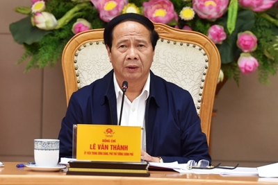 Phó Thủ tướng Lê Văn Thành: Sớm có giải pháp bình ổn giá thịt lợn, hỗ trợ người chăn nuôi