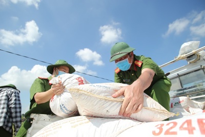 Công an huyện Ứng Hòa gặt lúa giúp người dân xã Viên An
