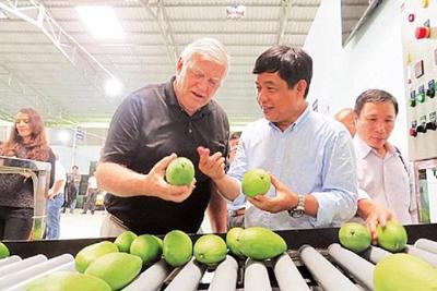 Hợp tác xã “bắt tay” doanh nghiệp thúc đẩy xuất khẩu trái cây