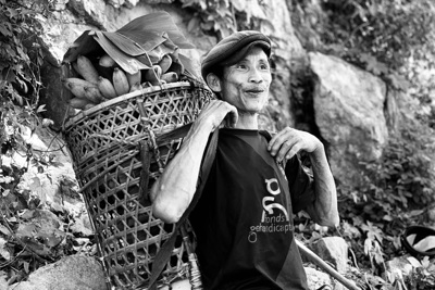 “Người rừng” Hồ Văn Lang qua đời