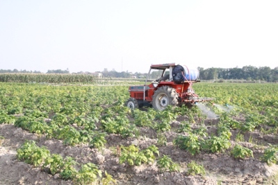 Hà Nội đẩy nhanh tiến độ cấp gần 5.000 giấy chứng nhận sử dụng đất nông nghiệp