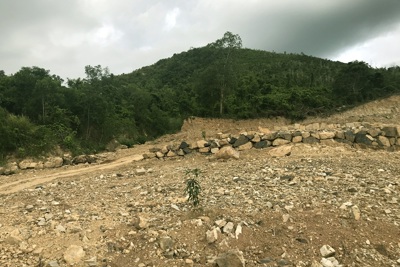 Tỉnh ủy Khánh Hòa chỉ đạo rà soát các vấn đề liên quan đến hiến đất làm đường, phân lô, tách thửa