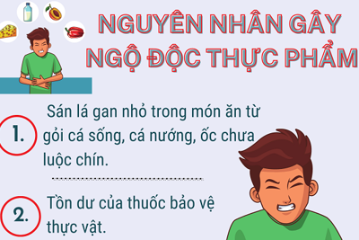 [Infographic] Các nguyên nhân gây ngộ độc thức ăn