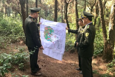 Hà Nội: Không chủ quan phòng cháy rừng mùa hanh khô