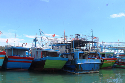 Ngư dân Quảng Nam gặp khó vì hải sản rớt giá