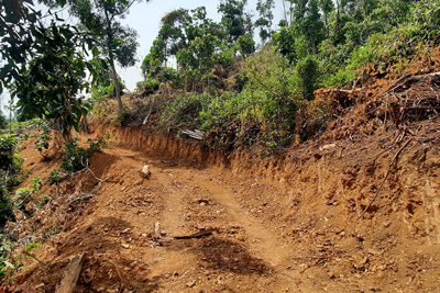 Quảng Nam: Ngang nhiên chặt phá cây, mở đường trái phép trong rừng phòng hộ