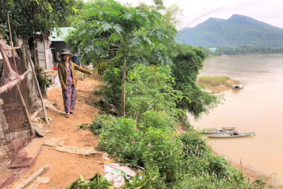 Quảng Nam: Người dân sống ven sông Thu Bồn nơm nớp nỗi lo sạt lở