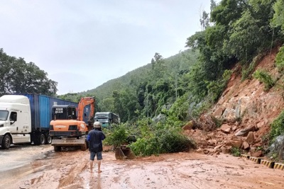 Sạt lở núi ở Bình Định, hàng nghìn khối đất đá đổ ập xuống Quốc lộ 1D