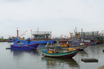 Quảng Trị: Phải đưa toàn bộ tàu thuyền vào nơi an toàn trước 12 giờ ngày 7/10