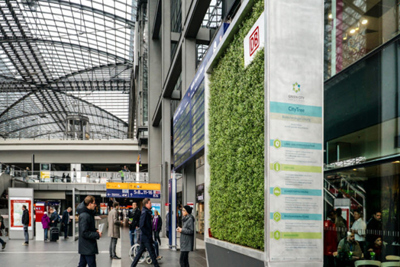 Đức giới thiệu cây công nghệ "ăn" không khí ô nhiễm tại đô thị
