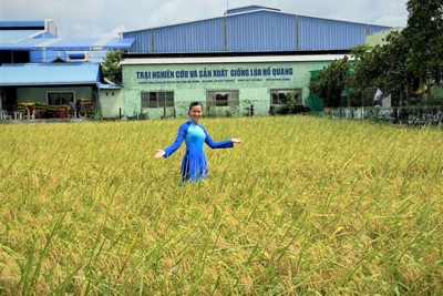 Giáo sư Võ Tòng Xuân: Cần có thương hiệu quốc gia cho gạo Việt