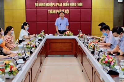 Bộ Nông nghiệp đề nghị Hà Nội phối hợp 21 tỉnh thành xây dựng chuỗi liên kết tiêu thụ nông sản trong đại dịch Covid-19