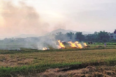 Huyện Sóc Sơn: Nhức nhối vì nạn đốt rơm rạ sau thu hoạch