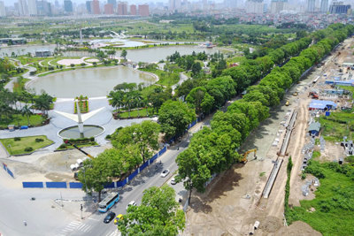 Đề xuất di dời 1.300 cây xanh trên đường Phạm Văn Đồng: Không có nghĩa là chặt bỏ