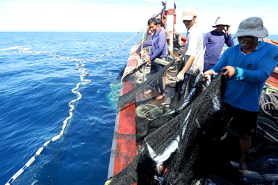 Việt Nam phản đối quy chế đánh bắt cá của Trung Quốc ở Biển Đông