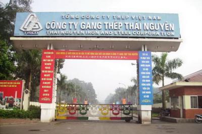 Thêm 2 dự án thua lỗ nghìn tỷ vào tầm ngắm thanh tra