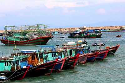 Quảng Ninh: Tạm ngừng cấp phép cho các phương tiện thủy ra khơi từ 6 giờ ngày 23/7