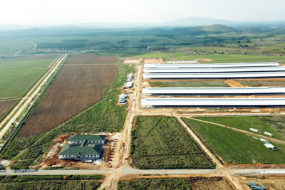 Siêu dự án trang trại của Vinamilk tại Lào sẽ "cho sữa" vào đầu năm 2022