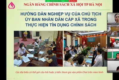 Tập huấn trực tuyến về tín dụng chính sách cho Chủ tịch xã trên địa bàn Hà Nội