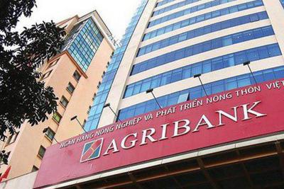 Agribank bán cổ phần tại PVcombank
