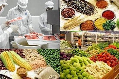 Việt Nam lần đầu đối thoại về hệ thống lương thực thực phẩm