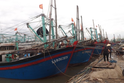 Nhiều tàu thuyền của Nghệ An vào Quảng Bình, Quảng Nam tránh bão số 2