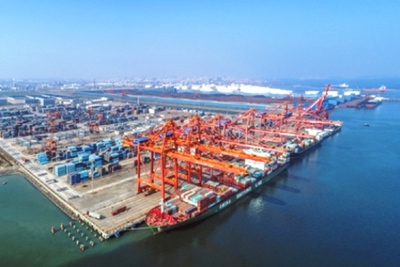 Trung Quốc ngừng nhập khẩu thực phẩm đông lạnh từ Việt Nam và 10 quốc gia tại cảng Trạm Giang