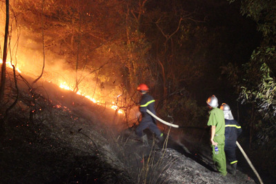 Vụ cháy rừng ở Sóc Sơn: Thiệt hại khoảng 50ha