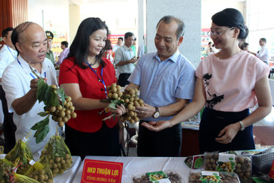 Xúc tiến mở rộng đầu ra cho nông sản