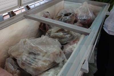 Lạng Sơn: Phát hiện hơn 4 tấn thịt thủ lợn bốc mùi hôi thối
