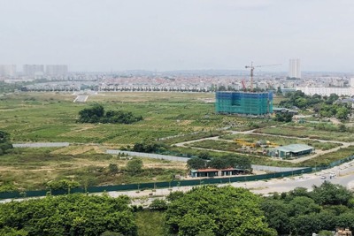 Hà Nội: Kiến nghị thu hồi 3,92 tỷ đồng, xử lý 1.080 m2 đất