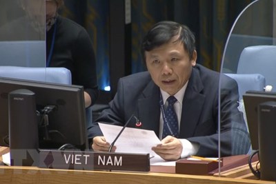 Việt Nam chủ trì cuộc họp Nhóm công tác Hội đồng Bảo an về các tòa án quốc tế