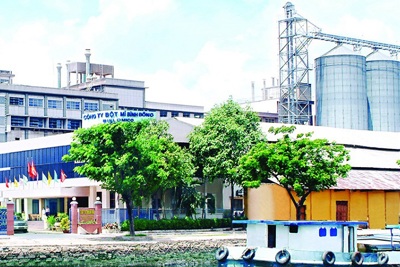 TP Hồ Chí Minh: Công ty Bột mì Bình Đông nguy cơ dừng sản xuất vì dịch Covid-19