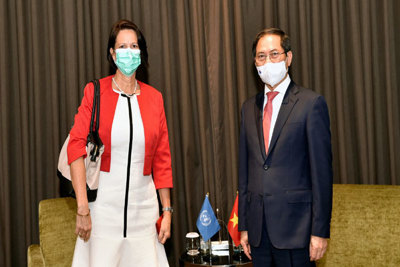 Bộ trưởng Bùi Thanh Sơn tiếp Đặc phái viên Liên Hợp quốc về Myanmar