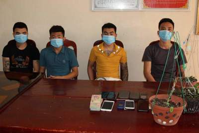 Hà Nam: Triệt phá nhóm đối tượng lừa đảo bán lan đột biến