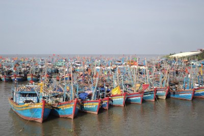 Kiên Giang: Hơn 2.300 tàu không đăng ký, đăng kiểm