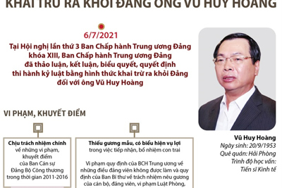 Khai trừ ông Vũ Huy Hoàng ra khỏi Đảng