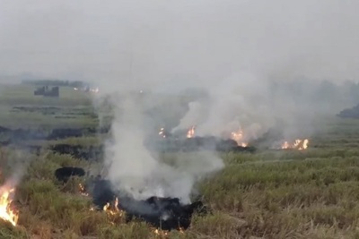 Hà Nội: Kiểm tra đột xuất tình trạng đốt rơm rạ tại các huyện ngoại thành