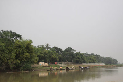 Huyện Thanh Oai: Sạt trượt nghiêm trọng 3 vị trí đê tả sông Đáy