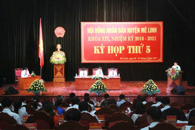 Kinh tế huyện Mê Linh tăng trưởng 6,9%