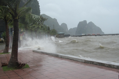 Quảng Ninh: Tạm ngừng cấp phép cho các phương tiện du lịch biển từ 16 giờ ngày 12/6