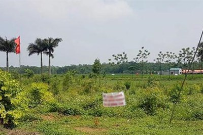 Hà Nội: Thông báo kết luận thanh tra việc quản lý, sử dụng đất tại xã Đồng Tâm