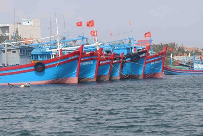 Quảng Ninh: Hơn 8.100 tàu khai thác thủy sản đã neo đậu an toàn