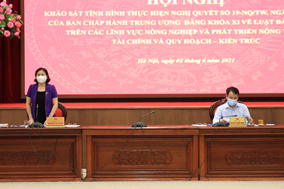 Phó Bí thư Thường trực Thành uỷ Nguyễn Thị Tuyến: Phát huy tiềm năng, nguồn lực đất đai để góp phần phát triển thành phố