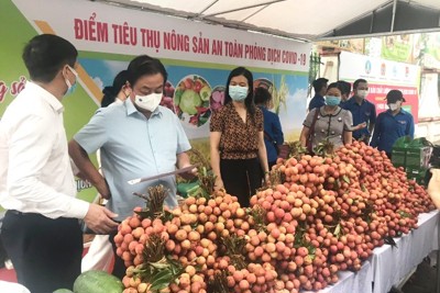Ra mắt 5 điểm hỗ trợ, kết nối tiêu thụ nông sản tại Hà Nội
