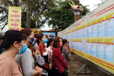 Hà Nội: Sẽ tổ chức 240 phiên giao dịch việc làm định kỳ hằng ngày