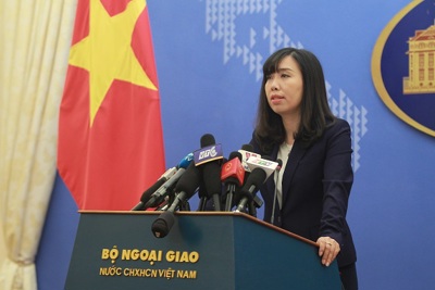 Việt Nam phản đối tàu nước ngoài sử dụng vũ lực với tàu cá Việt Nam