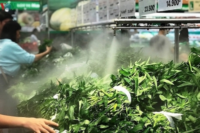 TP Hồ Chí Minh: Giá rau xanh “hạ nhiệt”, trứng vẫn khan hiếm